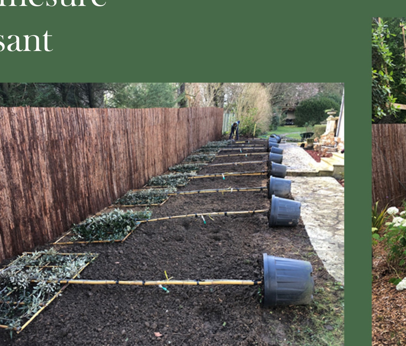 Création de massifs et plantations